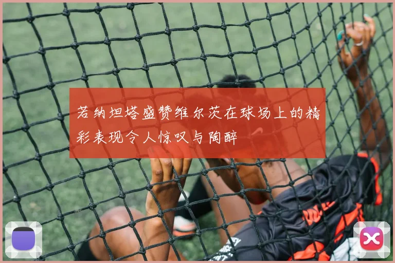 若纳坦塔盛赞维尔茨在球场上的精彩表现令人惊叹与陶醉