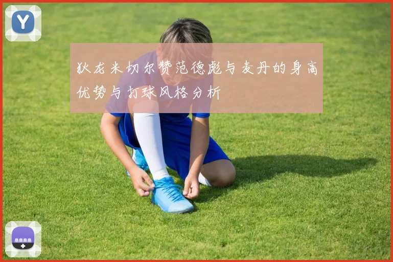狄龙米切尔赞范德彪与麦丹的身高优势与打球风格分析