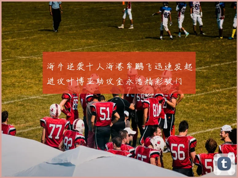 海牛逆袭十人海港牟鹏飞迅速发起进攻叶博亚助攻金永浩精彩破门
